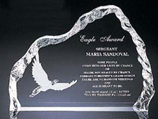 Clear Iceberg Award II (8 1/2"x6 1/2"x1")